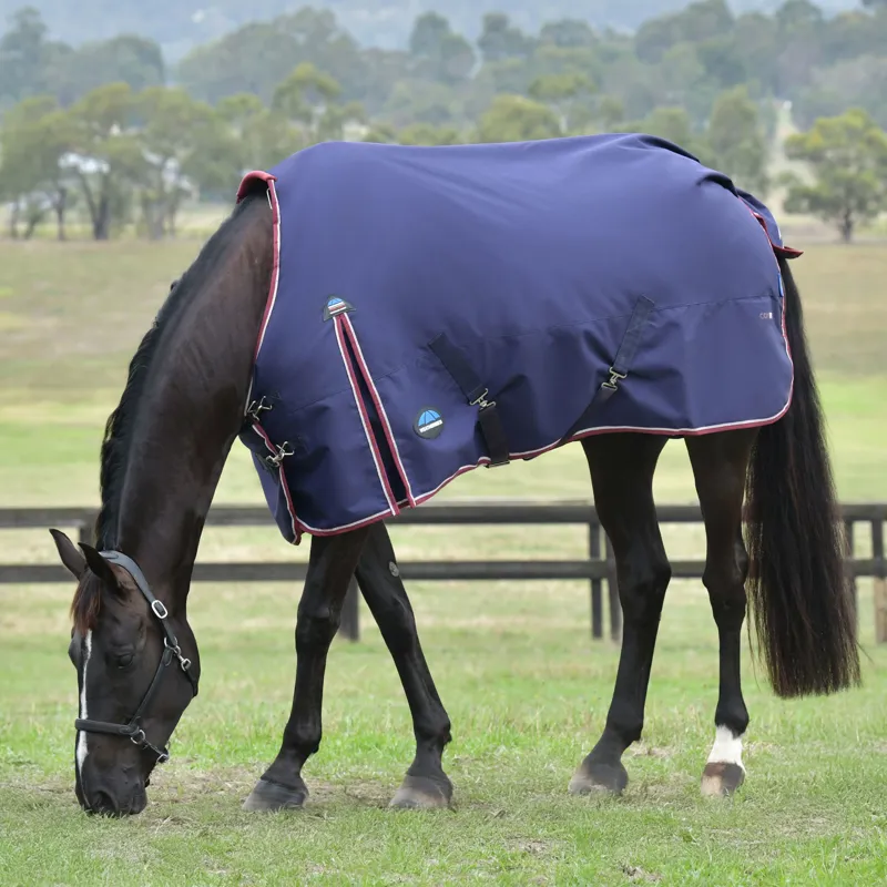 WeatherBeeta ComfiTec Essential Standard 100g Turnout Rug - Navy/Burgundy