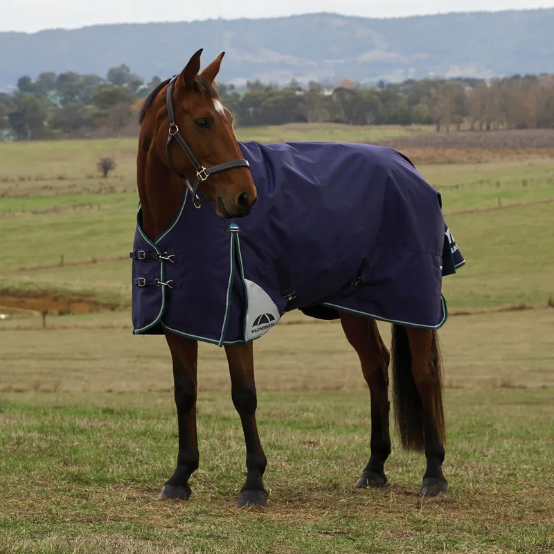 WeatherBeeta ComfiTec Plus Dynamic High Neck 0g Turnout Rug - Navy/Forest Green