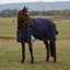WeatherBeeta ComfiTec Plus Dynamic High Neck 0g Turnout Rug - Navy/Forest Green