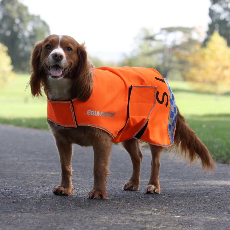 Shires EQUI-FLECTOR Mesh Dog Coat - Orange-1