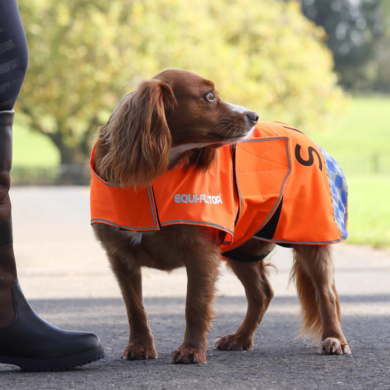 Shires EQUI-FLECTOR Mesh Dog Coat - Orange-2