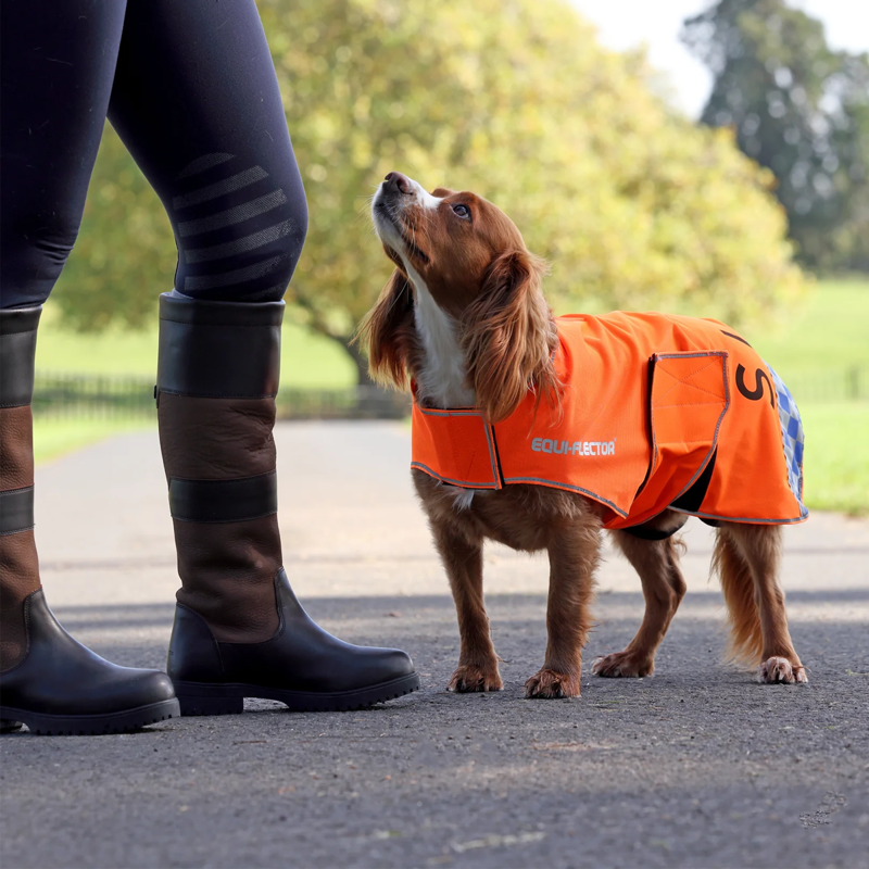 Shires EQUI-FLECTOR Mesh Dog Coat - Orange-3