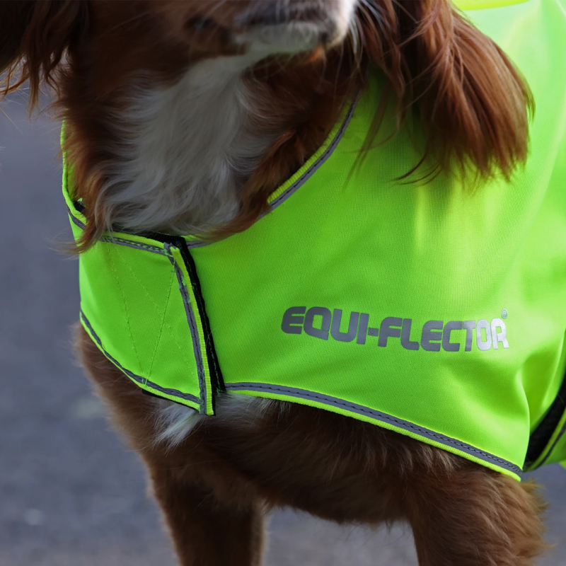 Shires EQUI-FLECTOR Mesh Dog Coat - Yellow-2