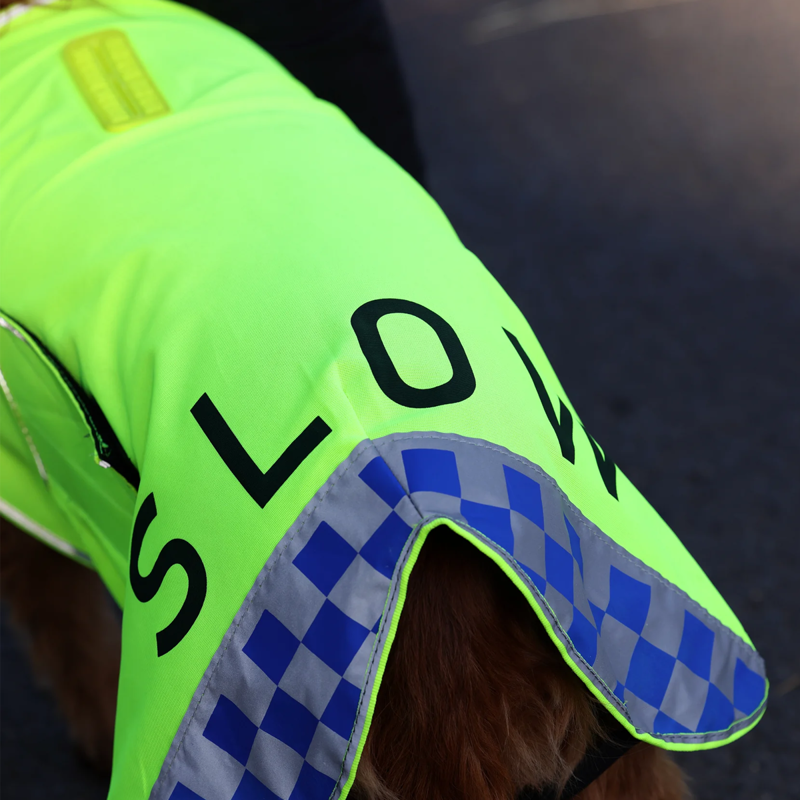 Shires EQUI-FLECTOR Mesh Dog Coat - Yellow-3