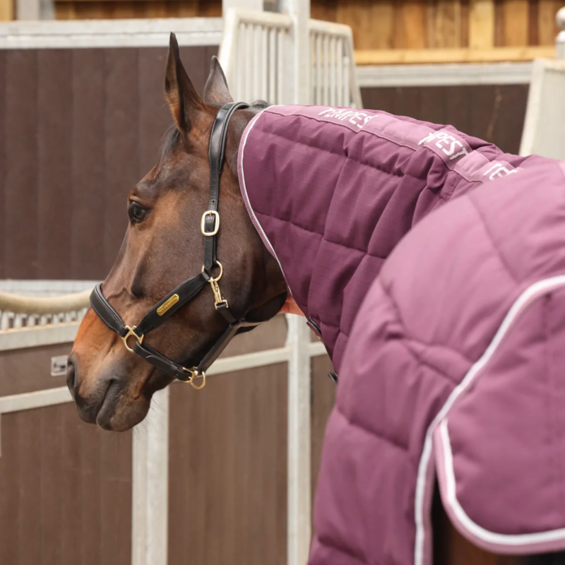 Shires Tempest Original 300 Stable Rug and Neck - Burgundy-3