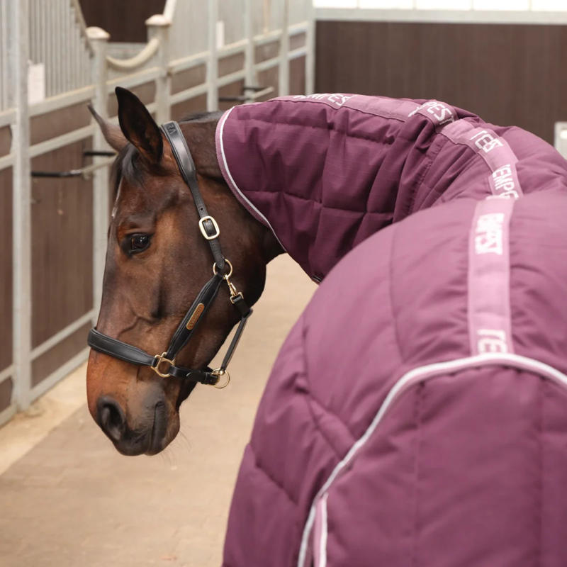 Shires Tempest Original 300 Stable Rug and Neck - Burgundy-1