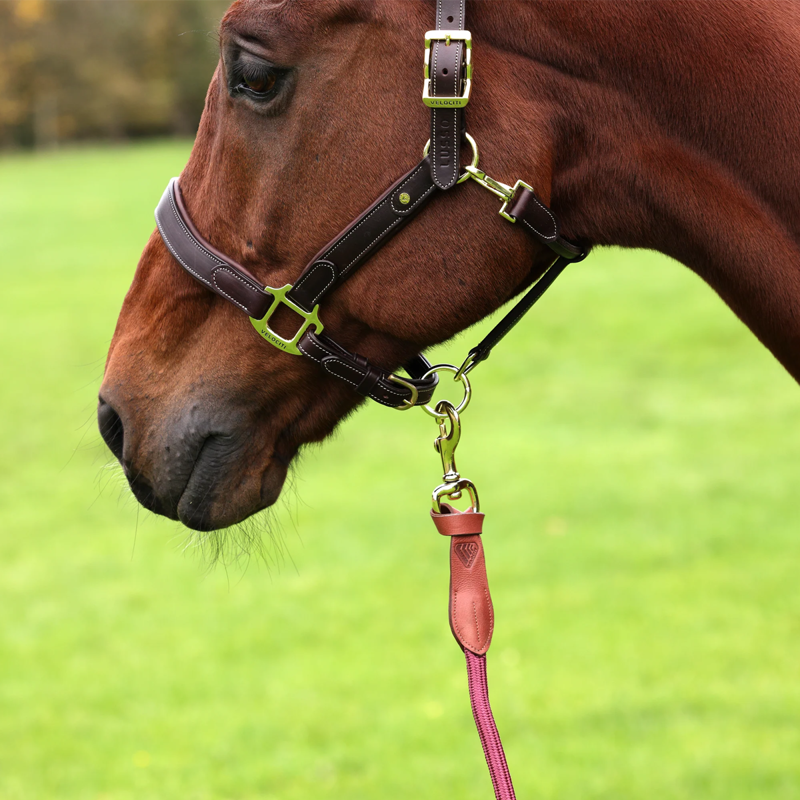 Shires Velociti Lusso Leather Lead Rope - Burgundy-2