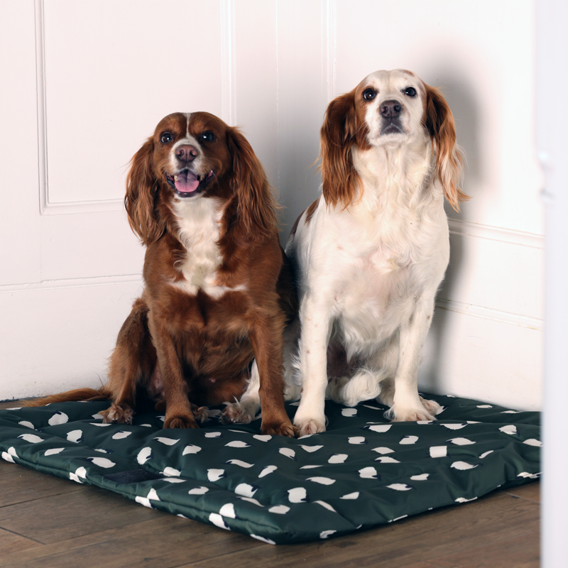 Shires Digby and Fox Waterproof Padded Dog Bed - Sheep-7