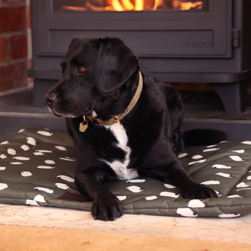 Shires Digby and Fox Waterproof Padded Dog Bed - Sheep-6