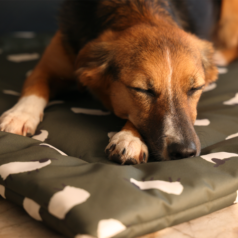 Shires Digby and Fox Waterproof Padded Dog Bed - Sheep-5