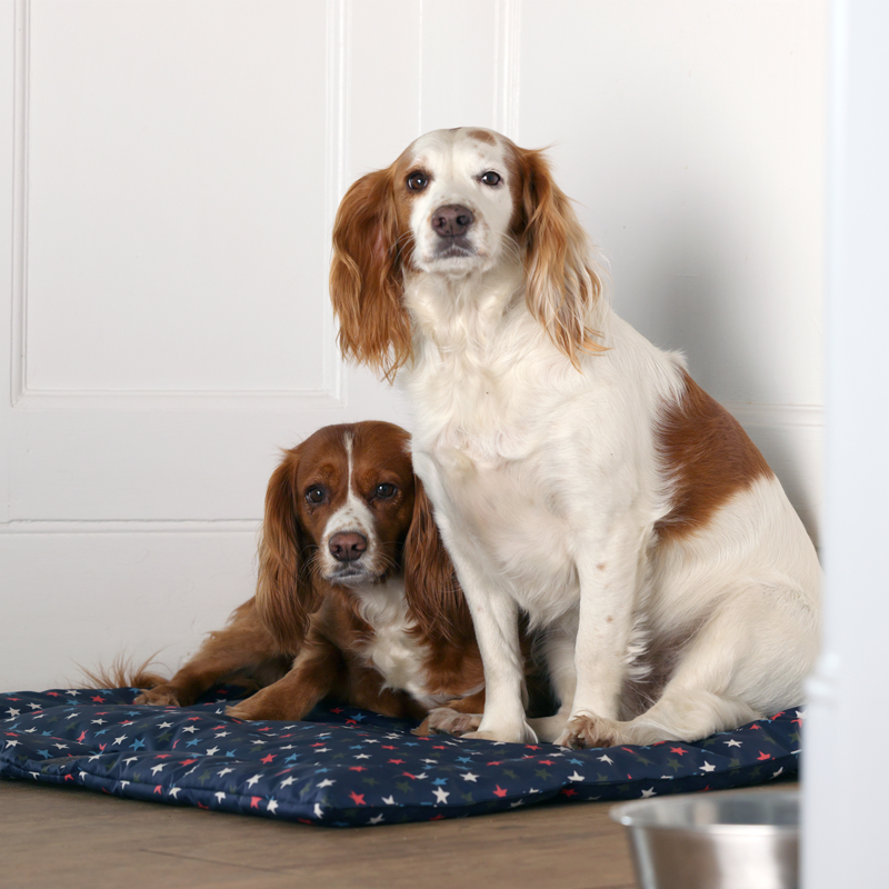 Shires Digby and Fox Waterproof Padded Dog Bed - Star-7