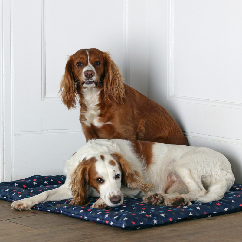 Shires Digby and Fox Waterproof Padded Dog Bed - Star-6