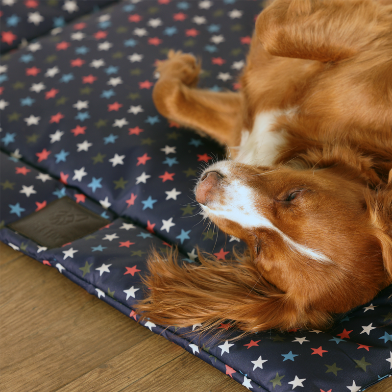 Shires Digby and Fox Waterproof Padded Dog Bed - Star-5