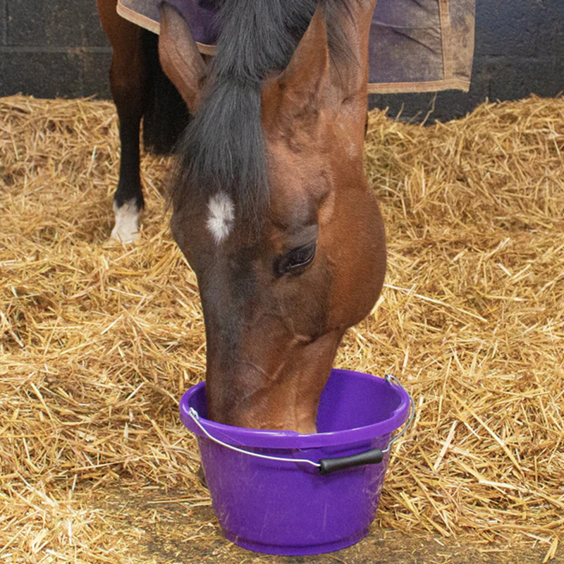 Red Gorilla Plas Shallow Bucket 10L-1