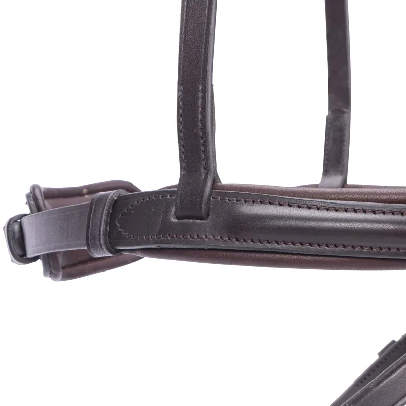Shires Velociti LUSSO Elite Flash Noseband - Havana-2