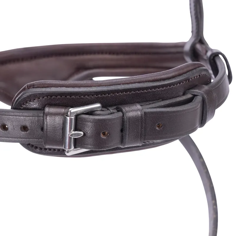 Shires Velociti LUSSO Elite Flash Noseband - Havana-6