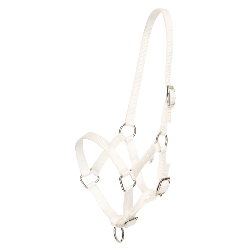 HV Polo Nena Foal Headcollar - White