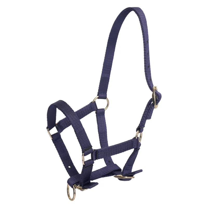 HV Polo Nena Foal Headcollar - Navy