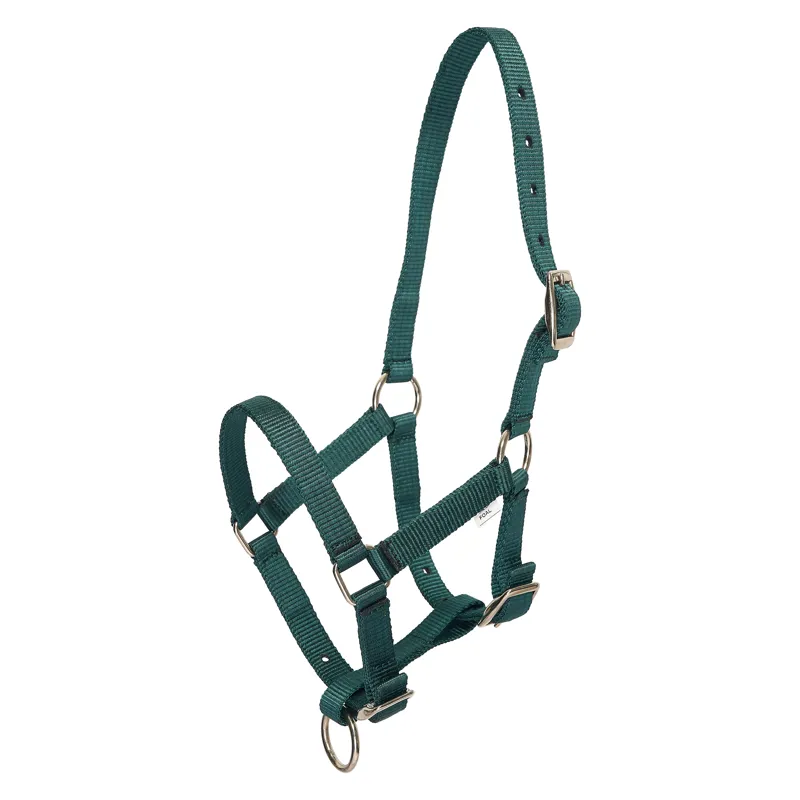 HV Polo Nena Foal Headcollar - Duck Green
