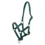 HV Polo Nena Foal Headcollar - Duck Green