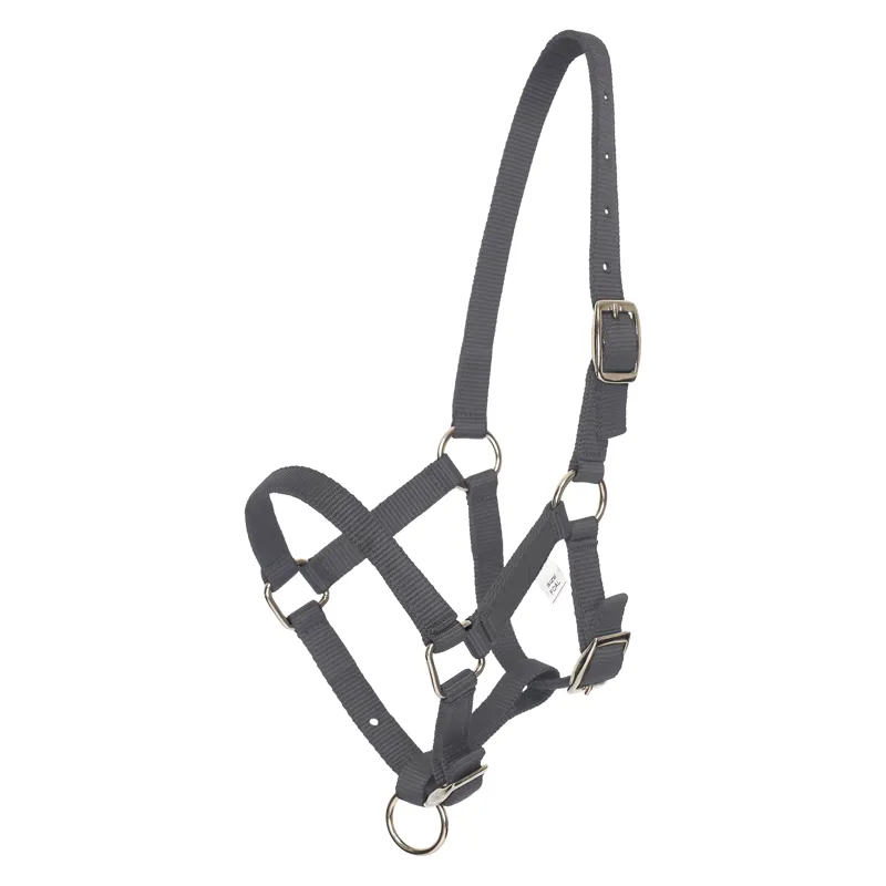 HV Polo Nena Foal Headcollar - Cloud Grey
