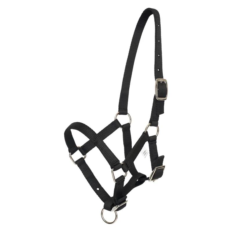 HV Polo Nena Foal Headcollar - Black