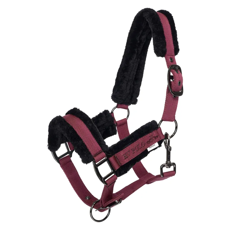HV Polo Sacha Headcollar - Wine