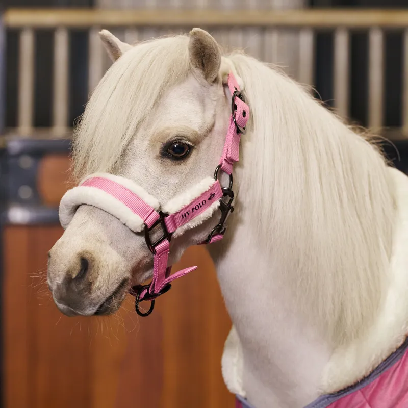 HV Polo Sacha Headcollar - Think Pink