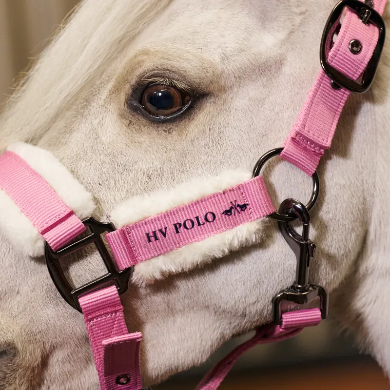 HV Polo Sacha Headcollar - Think Pink-1