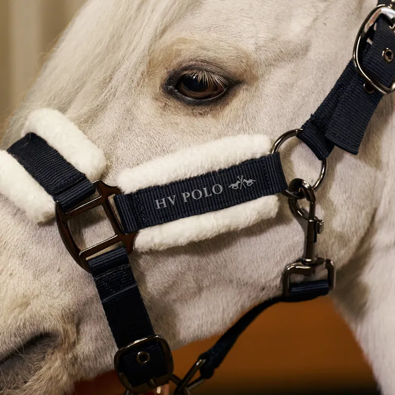 HV Polo Sacha Headcollar - Navy-1