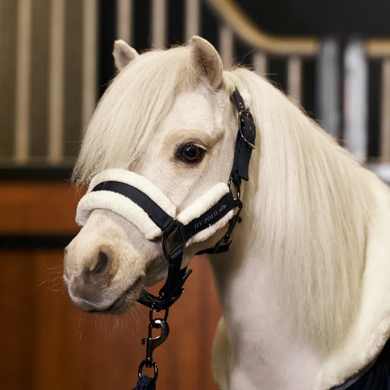 HV Polo Sacha Headcollar - Navy