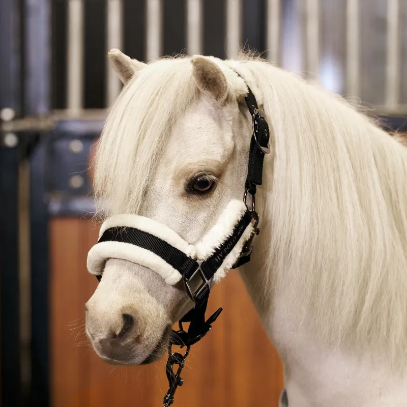 HV Polo Sacha Headcollar - Black