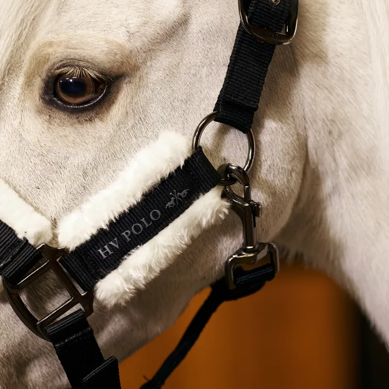 HV Polo Sacha Headcollar - Black-1