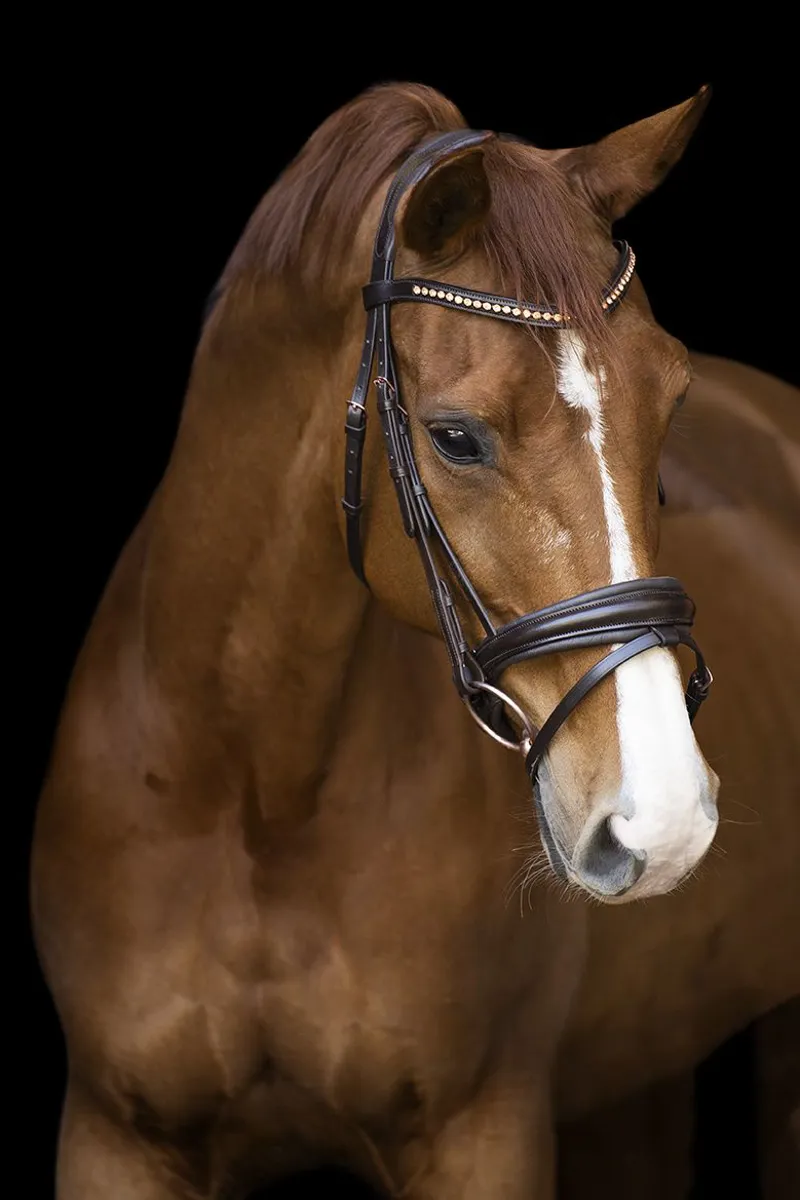 Imperial Riding Fria Bridle - Brown-1
