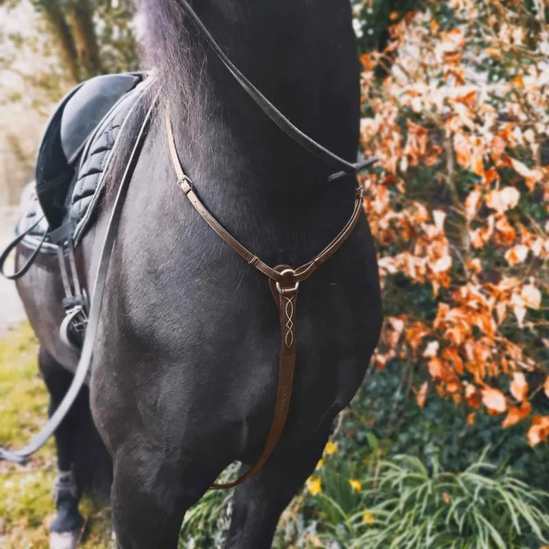 Cameo Core Hunt Breastplate - Brown