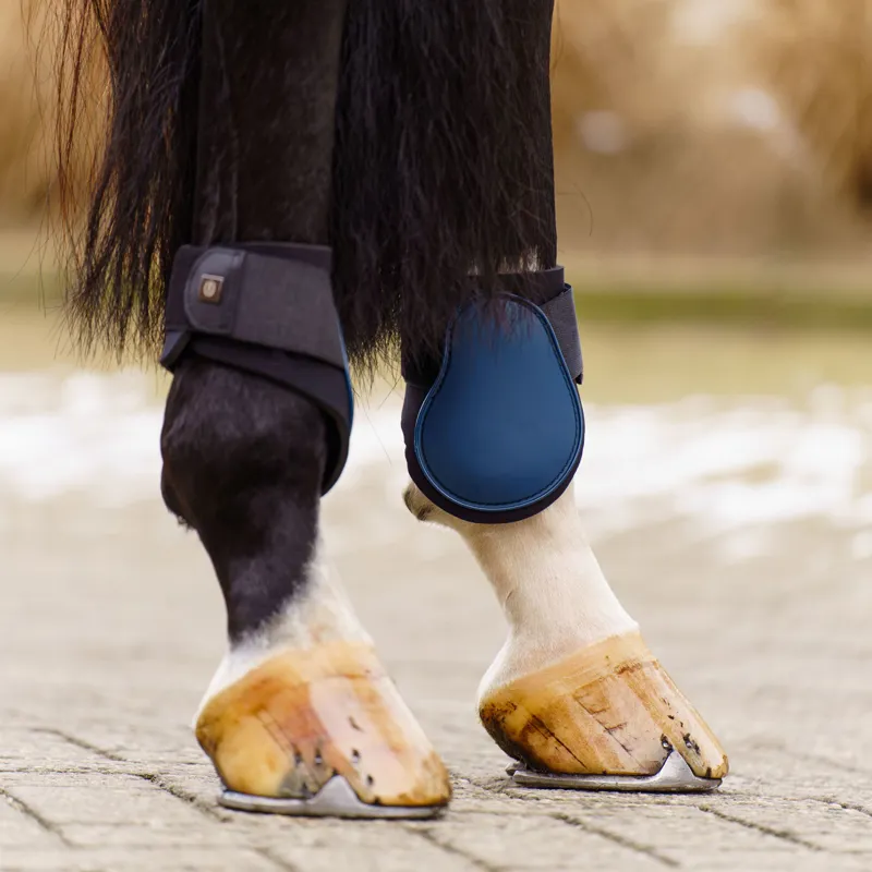 Imperial Riding Lovely Fetlock Boots - Sapphire-1