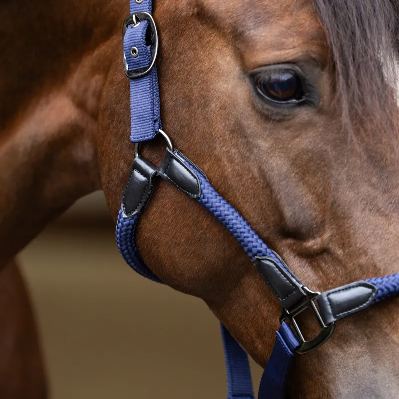 Imperial Riding Laura Headcollar - Navy-1