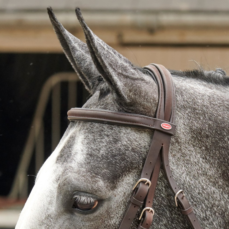 John Whitaker Ready to Ride Mexican Bridle - Havana-1