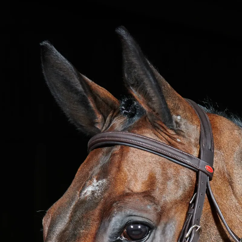 John Whitaker Ready to Ride Leather Flash Bridle - Havana-1