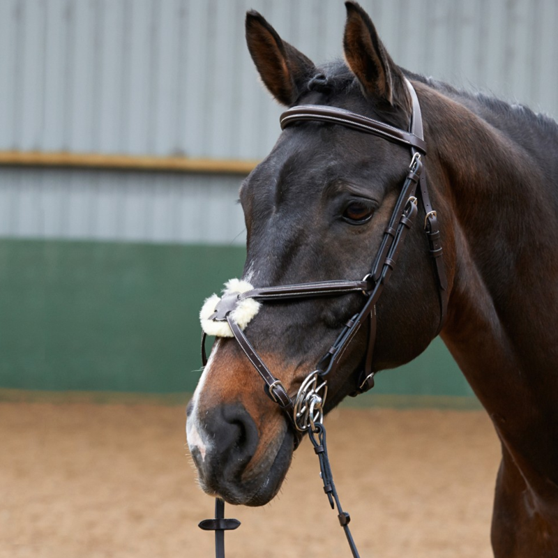 John Whitaker Eastwood Mexican Grackle Bridle - Black-1