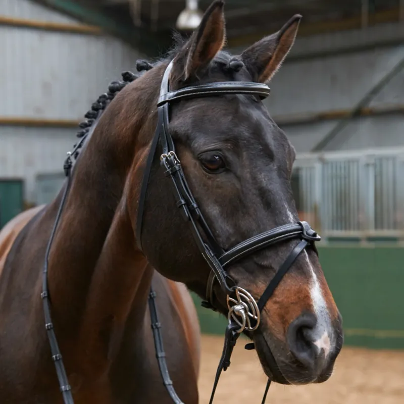 John Whitaker Eastwood Flash Bridle - Black-1