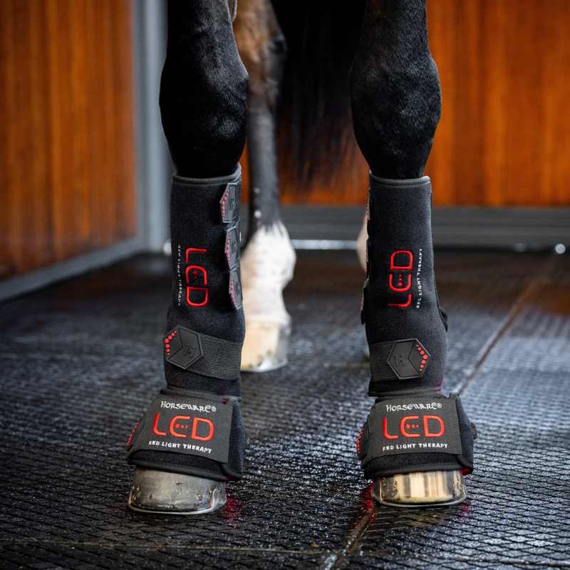 Horseware LED Red Light Therapy Mini Wrap Single - Black/Black-5