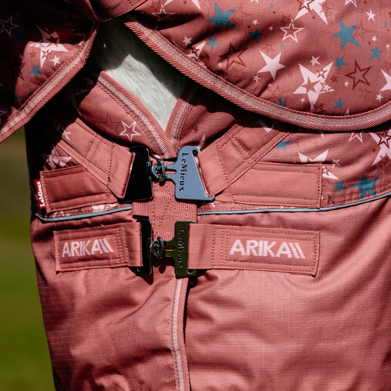 LeMieux Arika Star Turnout Rug 100g - Spiced Earth-1