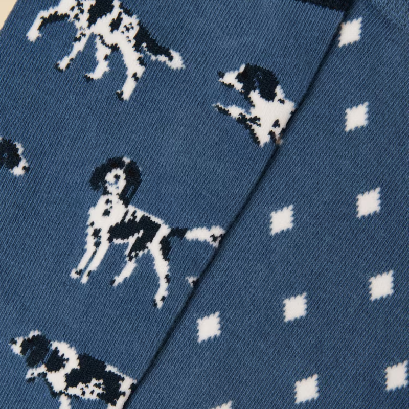 Joules Men's Kingsbury 2 Pack Socks - Blue Dog-1
