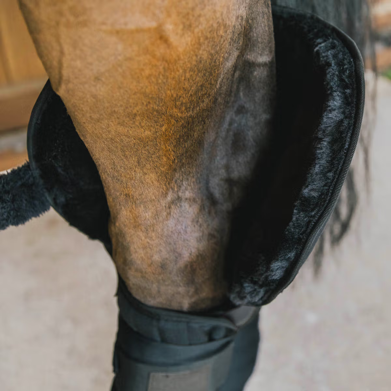 Kentucky Transport and Stable Bandage Pad with Hock Protection - Black-1