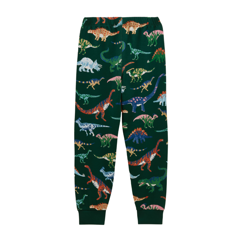Joules Boys' Kipwell Pyjamas - Green Dino-4