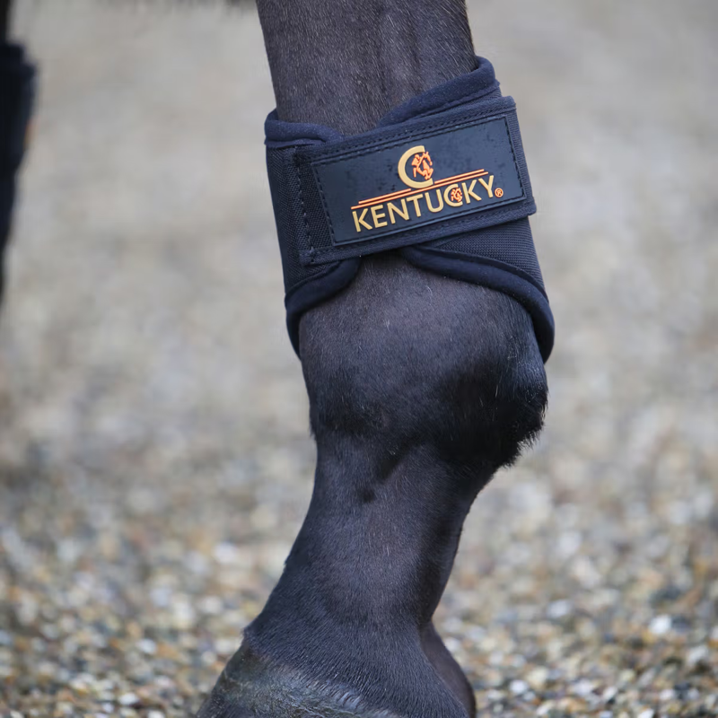 Kentucky 3D Spacer Brushing Boots - Black-1