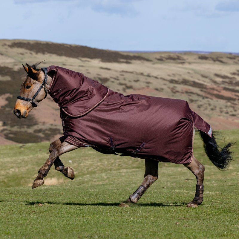 LeMieux Arika Ripstop 0g Turnout Rug - Bramble-1