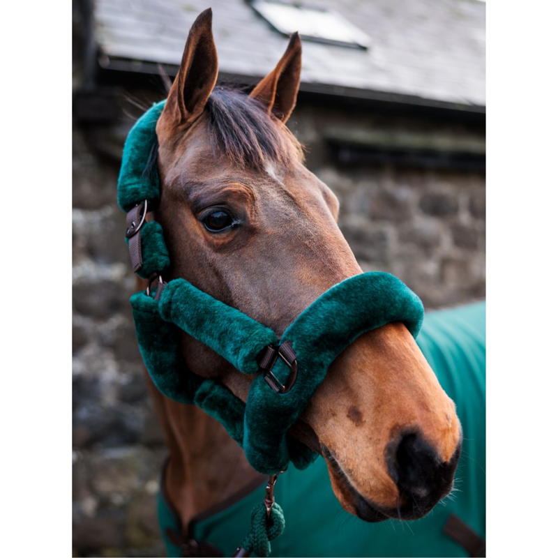 Cameo Deluxe Headcollar - Evergreen-1