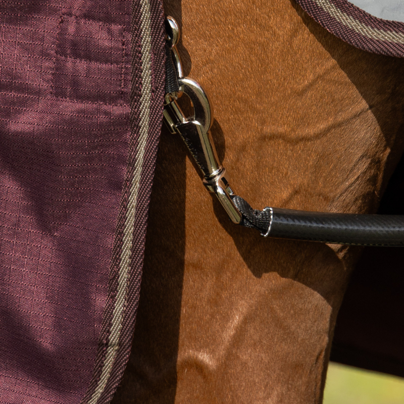 LeMieux Arika Ripstop 100g Turnout Rug - Bramble-2